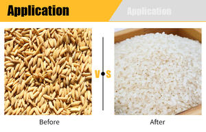 Prix Usine Mini Décortiqueuse de Riz/Moulinière à Riz Combinée - Product Image 3