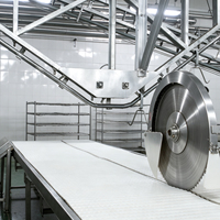 Machine de découpe horizontale segmentée rapide pour carcasses de porc, machine de traitement du porc, machine d'abattage de porcs