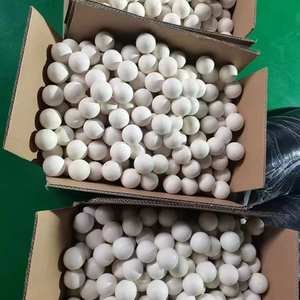 Bolas de Goma para Bombas de Pistón (Bombas <span class=keywords><strong>ABEL</strong></span>); Bolas de Sellado Altamente Resistentes al Desgaste; Accesorios Industriales de Goma - Product Image 6