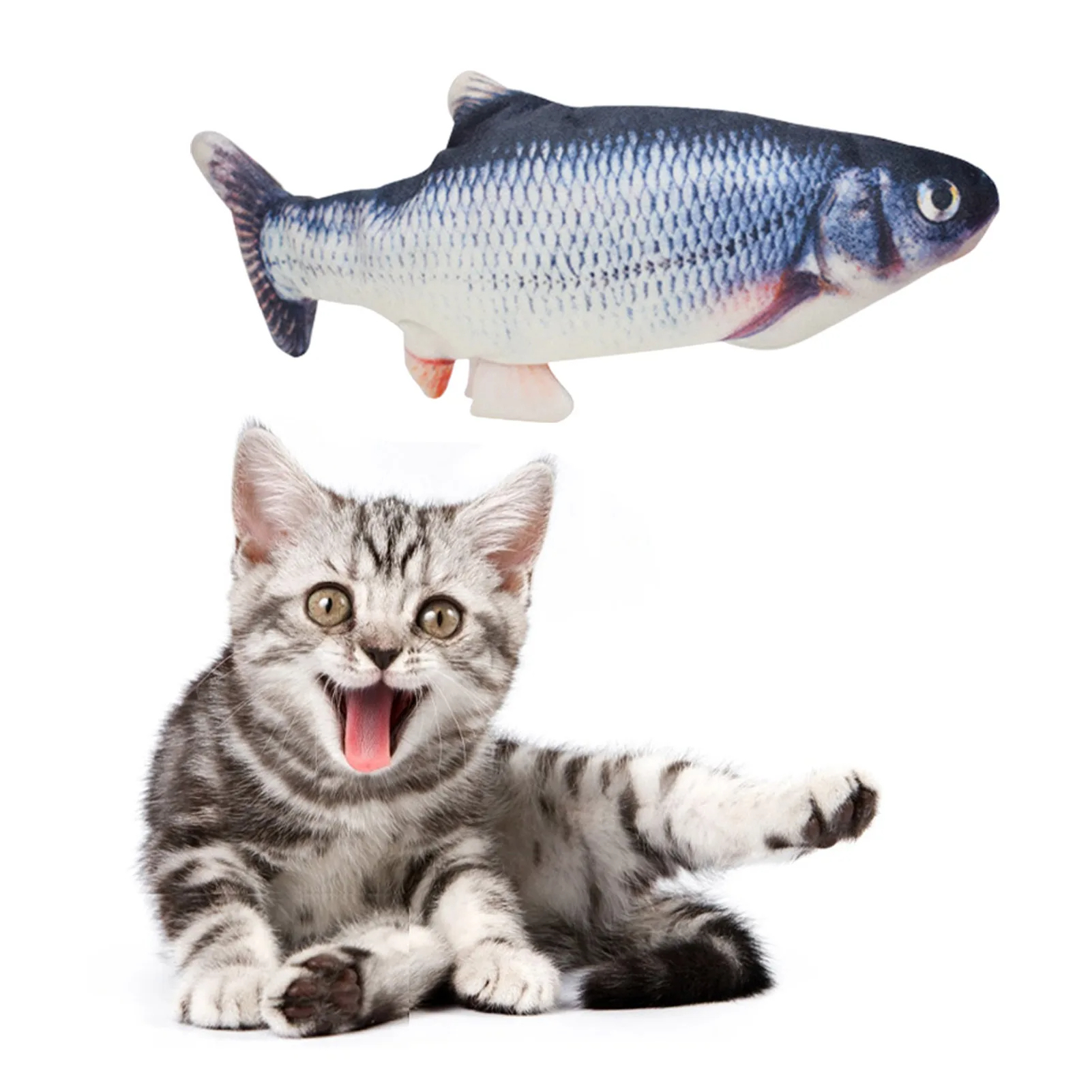Silver -Grass Carp