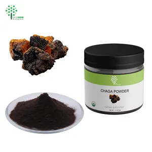 Polvere di estratto di funghi chaga OEM con barattoli da 60G 2.1 once con etichetta privata