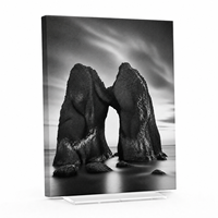 Impression sur toile personnalisée de paysage, art mural résistant à la décoloration, décoration photographique noir et blanc pour galerie