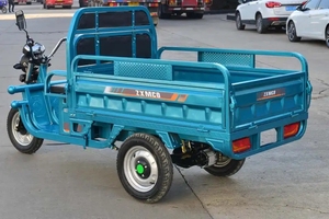 Tricycle de transport 60V 1500W pour adultes, personnalisé, à 3 roues, chariot de vente ambulant, Europe - Product Image 3