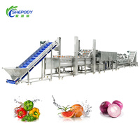 Shepody Date Was-, Reinigings- en Droogmachine Automatische Dadel Sorteer-, Was- en Droogmachine