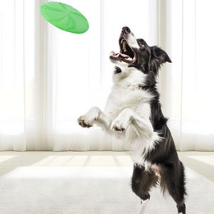 Прочный летающий диск EVA для щенков и собак, устойчивый к укусам, для занятий спортом на открытом воздухе, Интерактивная игрушка в классическом стиле - Product Image 4