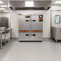 Cuiseur à riz industriel en acier inoxydable de 36 kW à 48 plateaux, machine à cuire le riz commerciale pour cantine