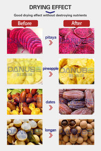 Horno de Procesamiento de Frutas con Cámara de Secado Automático y Bandeja para Secar Piñas, Precio Competitivo, ¡Venta Caliente! - Product Image 2