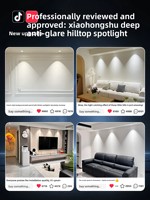 Projecteur NVC Lighting 4000K Ra90-95 en aluminium à coupelle profonde anti-éblouissement, faisceau 'Little Hill' net et subtil, spectre complet, respectueux des yeux
