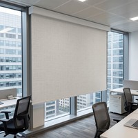 Système de stores et volets électriques Ilvia Custom Smart Blinds Shades & Shutters, stores occultants avec cadre, stores à enroulement