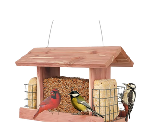 Thủ công tuyết tùng Phễu <span class=keywords><strong>Bird</strong></span> <span class=keywords><strong>Feeder</strong></span> đôi suet Lồng thép không gỉ xây dựng rõ ràng xem <span class=keywords><strong>Windows</strong></span> sóc bằng chứng cho Hoang Dã - Product Image 1