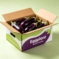 Wholesale Eggplant Moisture Proof Packaging Box with Handles Folding Corrugated Cardboard Vegetable Gift Box