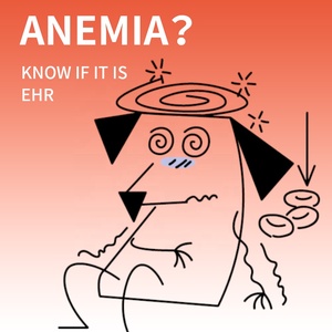 Производитель Sabervet Ehrlichia, ветеринарный набор для анализа крови - Product Image 5