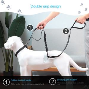 Lüks orta büyük köpek tasma altın saç elastik çekme kısa uzun naylon halat kişiselleştirilmiş patlamaya dayanıklı yürüyüş katı kurdela - Product Image 5