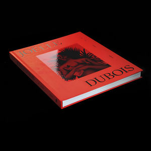 Collezione di Libri con Copertina Rigida in Tessuto di Lino Rosso con Logo Personalizzato, Stampa Offset su Cartone con Lavorazione Artistica in Rilievo - Product Image 1