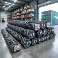 Varilla de Acero Deformada Anticorrosiva CT para Refuerzo de Hormigón, para Construcción Marítima y Costera, Precio de Fábrica