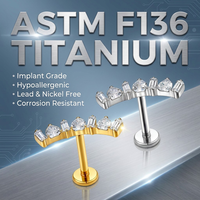 أقراط زركون كلاسيكية أنيقة جاهزة للشحن، مجوهرات جسم من التيتانيوم عالي اللمعان ASTM F136، هدية مثالية للزفاف