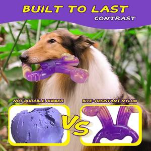 कुत्ते के अनुकूल कुत्ते पालतू जन्मदिन उपहार चेव खिलौने खिलौने बैंगनी लॉबस्टर के लिए अद्वितीय डिजाइन - Product Image 4