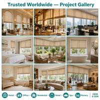 Fabricante OEM de Persianas Romanas, Cortinas Opacas Inalámbricas para Ventanas, Tamaño Personalizado, Impermeables, Mejora de Calidad, Directo de Fábrica