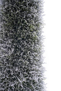 Árboles Artificiales de Plástico y Metal Simulados Verdes de Treesmas para Decoración de Plantas de Jardín Interior y Exterior - Product Image 6