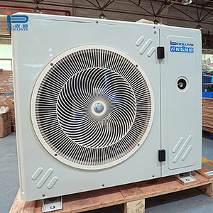 Unité de condensation à refroidissement par air à économie d'énergie pour températures moyennes/élevées, pour chambres froides à pression <span class=keywords><strong>positive</strong></span> utilisées dans le stockage de fruits, légumes et fleurs - Product Image 5