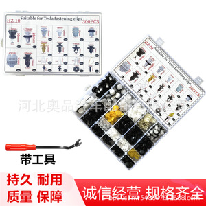Kit de 300 Clips de Sujeción Tesla Hz10 con Herramienta para Reparación de Paneles de Puerta y Parachoques de Automóviles - Product Image 3
