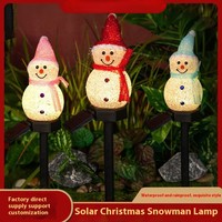 Lampe solaire LED pour extérieur, fabriquée en usine OEM, décorative, étanche, pour jardin et pelouse, logo personnalisé accepté, conforme aux normes CE et RoHS