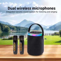 Haut-parleur portable ODM, haut-parleur karaoké sans fil 10W Bt5.3, lumière RGB, TWS, deux micros sans fil, rechargeable par Type-C, mini karaoké