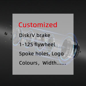 2024 le kit de conversion le plus chaud en Europe Mini <span class=keywords><strong>taille</strong></span> haute puissance Ebike frein à disque moteur de couple moteur de moyeu de roue arrière - Product Image 5