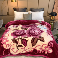 1 Pièce Couverture Raschel Usine Couverture en Vison Polaire en Peluche Coréenne Lourde 2 Plis Épais Couverture en Vison Imprimé Raschel