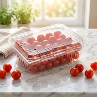 Boîte d'emballage écologique en plastique PET transparent 230x190x75MM avec trous de ventilation respirants pour sandwichs, fast-food, pâtisseries et salades
