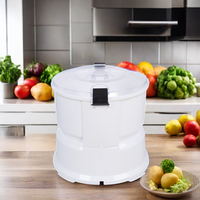 Hete Klassieke Automatische Elektrische Huispelmachine Voor Aardappelen Fruit Gemaakt Van Duurzaam Staal Met Gemakkelijke Schilfunctie