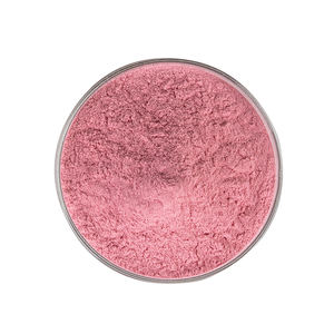 Polvo de Vitamina C de Acerola Orgánica 100% Natural Personalizable al por Mayor, Extracto de <span class=keywords><strong>Malpighia</strong></span> <span class=keywords><strong>Glabra</strong></span> 10:1, Grado Alimenticio, en Tambor - Product Image 2