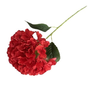 Bán Buôn Khách Sạn Trang Trí Nhân Tạo Hoa Hoa Mẫu Đơn Rose Tú Cầu Trong Màu Đỏ Cho Đám Cưới Giáng Sinh Trở Lại Trường Học - Product Image 1