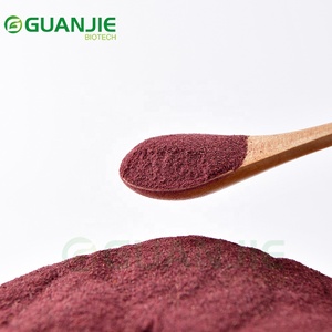 フリーズドライブルーベリーパウダー 100%純粋 無添加 アントシアニン豊富 - Product Image 2