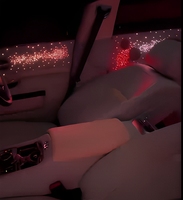 Nueva Luz de Techo Starlight con Efecto de Color Dinámico para Puerta de Coche, Luz de Cielo Estrellado para Puerta, Fibra Óptica de 0.5mm para Techo y Puerta de Coche