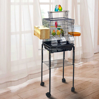 Top vendeur Extra Large Cage à oiseaux coloré perroquet canari inséparable en acier inoxydable doré avec motif animal pour le vol de reproduction