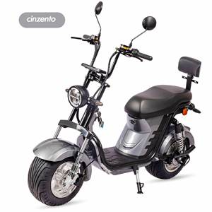 YIDE HL3.1 brésil entrepôt vélo électrique gros pneu 250w Scooter électrique Coc Citycoco - Product Image 2