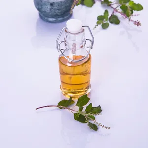 Produttore di olio di basilico fornitura di oli essenziali estratti da piante naturali