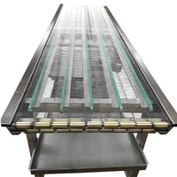 Nastro Trasportatore a Rete in Acciaio Inox per Alimenti, Attrezzatura di Sterilizzazione e Trasporto per Linee di Produzione di Alimenti in Scatola