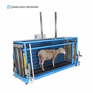 Chất lượng cao mới cừu/dê trọng lượng và kích thước Hệ thống đo lường với trang trại thiết bị cừu hàng rào - Product Image 2