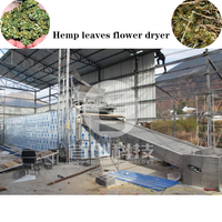 Machine sèche-ligne de fabrication de feuilles de chanvre, CBD, fleur séchée, huile de chanvre