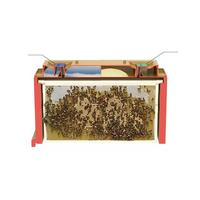 Prix de gros, ruche à abeilles Langstroth à 2 couches, 3 couches, boîte à abeilles en plastique