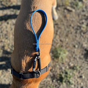 सक्रिय कुत्तों के प्रबंधन के लिए और उन्हें व्यस्त क्षेत्रों में बंद रखने के लिए पीवीसी ट्रैफिक हैंडल के साथ नायलॉन कारबिनर - Product Image 4