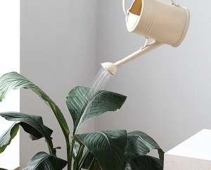 Stile semplice 2L luce di lusso piccolo borghese giardino fiore artefatto innaffiatoio Retro bocca lunga casa giardino irrigatore - Product Image 4