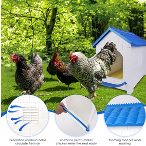 Nouvelle boîte à poules en plastique rouge/bleu de type A pour élevage avicole, facile à nettoyer - Product Image 6