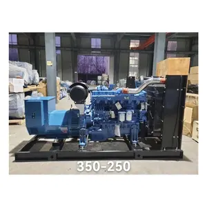 Silenzioso 350kw generatore 350kva Diesel potenza motore elettrico 350kw motore elettrico