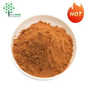 Lions mane mushroom extract powder Polysaccharide 30% Beta glucan bulk