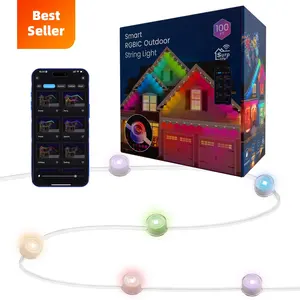 LuxFond Easy Life Holiday Decoração Paisagem Música Colorida Outdoor Rgb Circular Led Strip Light Kit Com Controlador