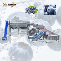 Industriële bessenontstammer-waslijn, groente- en fruitbelwasmachine, automatische bessenwasmachinelijn