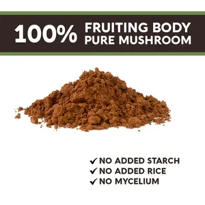 Private Label Pure Mushroom Complex Extract Powder Organic Lions Mane Reishi Cordyceps Chaga Turkey Tail Maitake